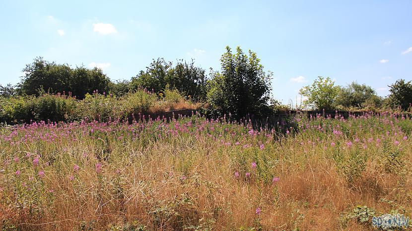  Autors: rolands 2 Bildes - Stanwick Lakes