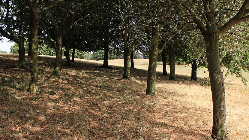  Autors: rolands 2 Bildes - The Racecourse Park (pēc 20 dienu karstuma)
