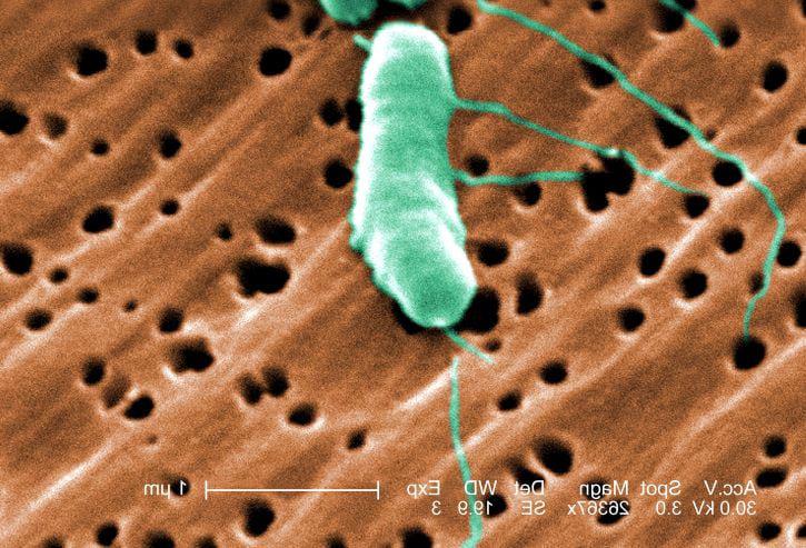 Pirmā doma ir quottas... Autors: Lestets Kas notiktu, ja uz Zemes pazustu visi mikrobi?