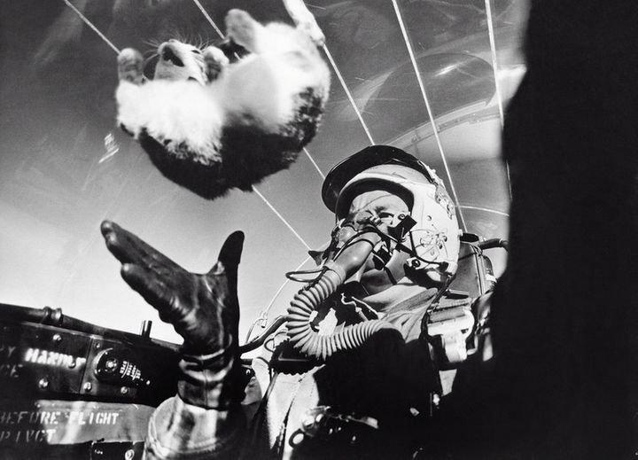 Kaķis kosmosāBilde uzņemta... Autors: ĶerCiet 25 vēsturiski foto, kurus tu vēl nebūsi redzējis