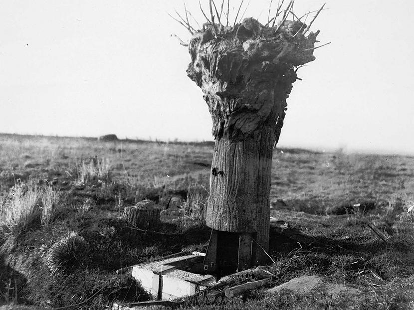 Scaronādus kokus briti... Autors: Altenzo Ieroči un tehnoloģijas karā