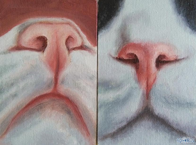 scaronos abus gleznoju pēc... Autors: Altofobija Radījumi un neradījumi 5