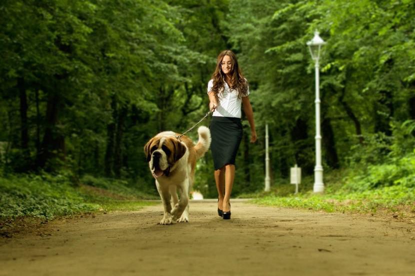  Autors: Latvian Revenger Kad ej pastaigāties ar suņiem, negaidot vari kļūt par līgavaini!