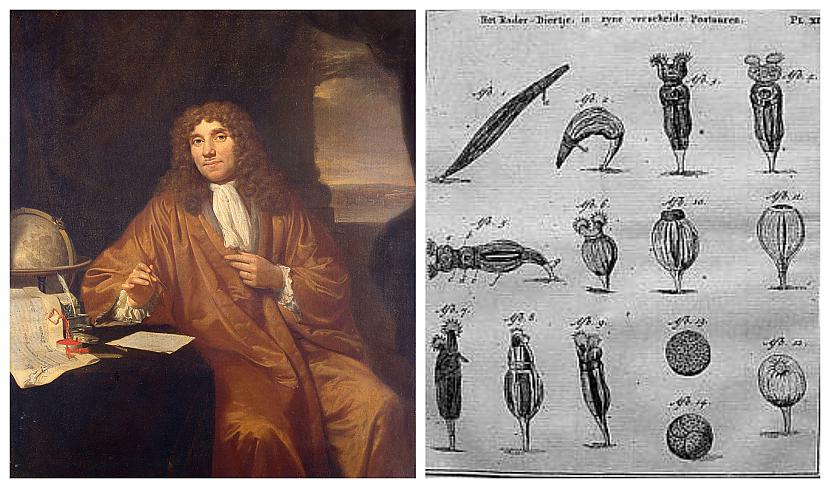 Laiks 1677gadsTeorija... Autors: Testu vecis Dīvainākās teorijas par cilvēku vairošanos no dažādiem gadsimtiem