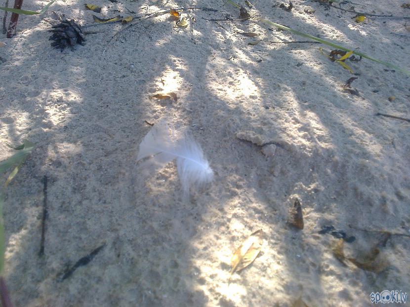 Smiltiņās eZZiiC nožuva un... Autors: ezkins MEGAbaudījums