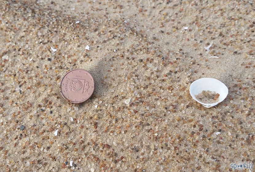 Vēja nopūstas monētas Autors: pyrathe Ar metāla detektoru pa pludmali 2018 (septembris)