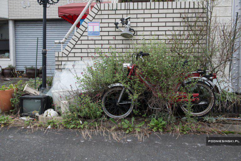 Pamests motocikls Autors: ĶerCiet Daba pamazām pieveic Fukušimas avārijas teritoriju. Līdz šim neredzēti fotokadri