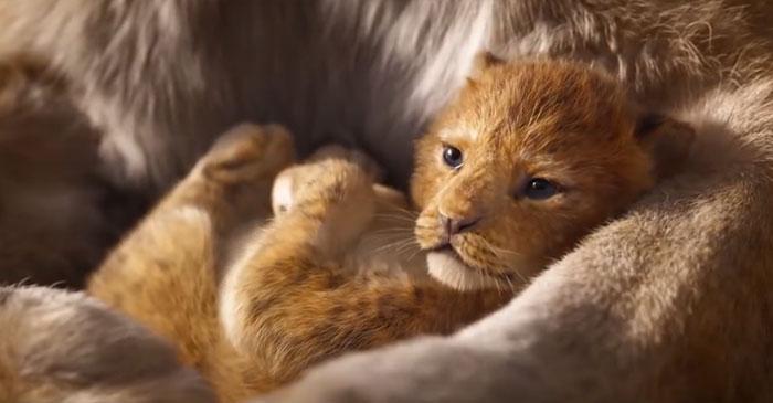 2019 gadā Autors: matilde «Karalis Lauva» 1994. gada filma pret 2019. gada filmu. Kura Tev patīk labāk?