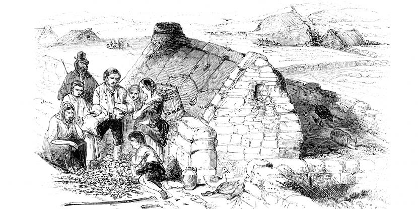 Jauniegūtos plascaronumus... Autors: Testu vecis Īrijas lielais kartupeļu bads