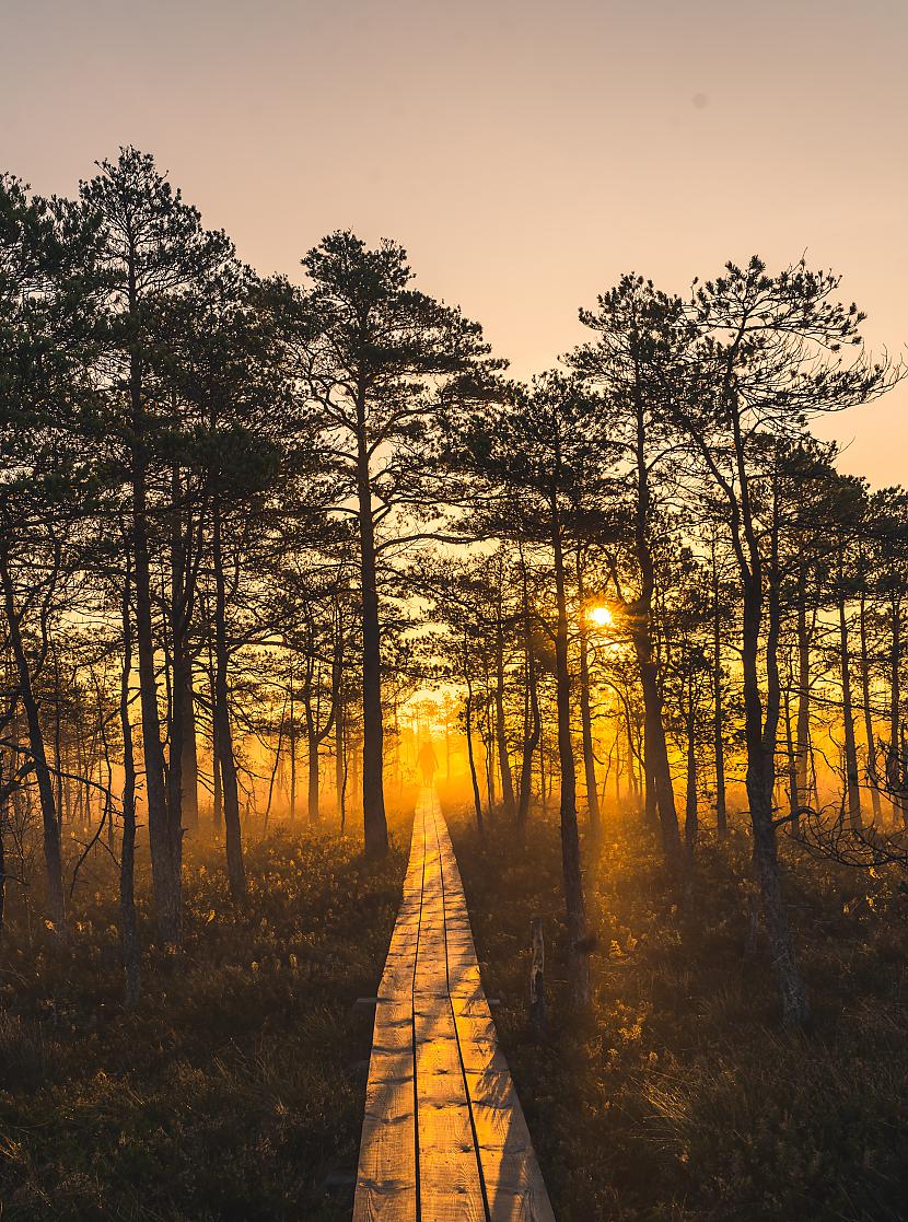 Traki skaists rīts Cenas... Autors: DEKA Mirkļa bildes Latvijā