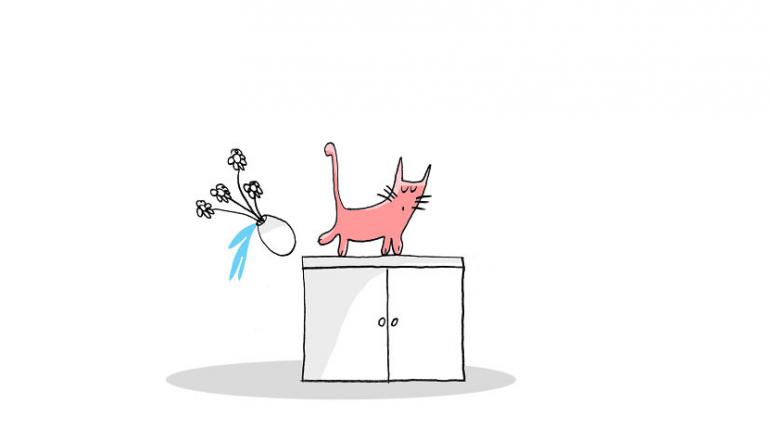 Gravitācijas pārbaudes... Autors: ĶerCiet 17 ļoti svarīgi kaķu dzīves pienākumi