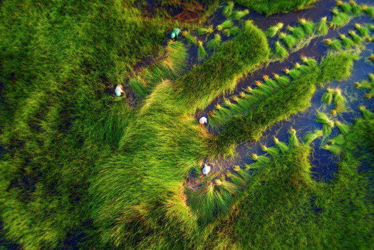 Ražas novākscaronana Autors: zeminem 20 labākās dronu fotogrāfijas no 2018. gada. Iespaidīgi kadri!