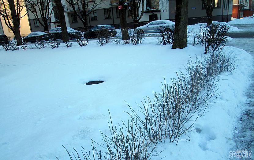 Tā pastaigājos pa sniegotajām... Autors: rasiks Pastaiga gaišā dienā
