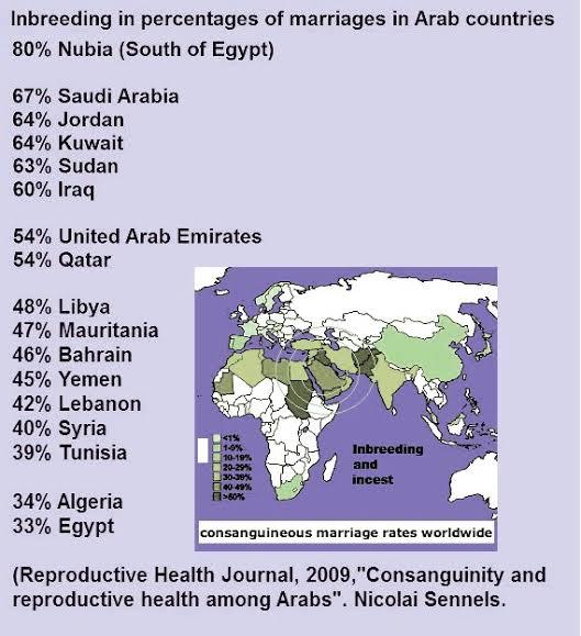 Pasaules karte kur tiek... Autors: Zigzig Kad tuvi asinsradinieki precas musulmaņu kopienās