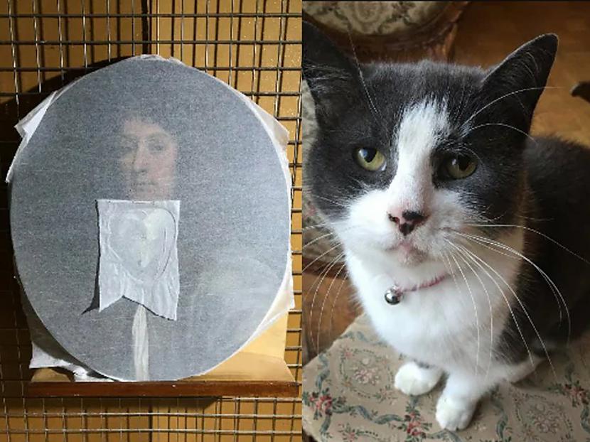 Foto ThisisinsidercomScaronis... Autors: Lestets Mākslas vēsturnieka kaķis iznīcina gandrīz 6000€ vērtu 17. gadsimta gleznu