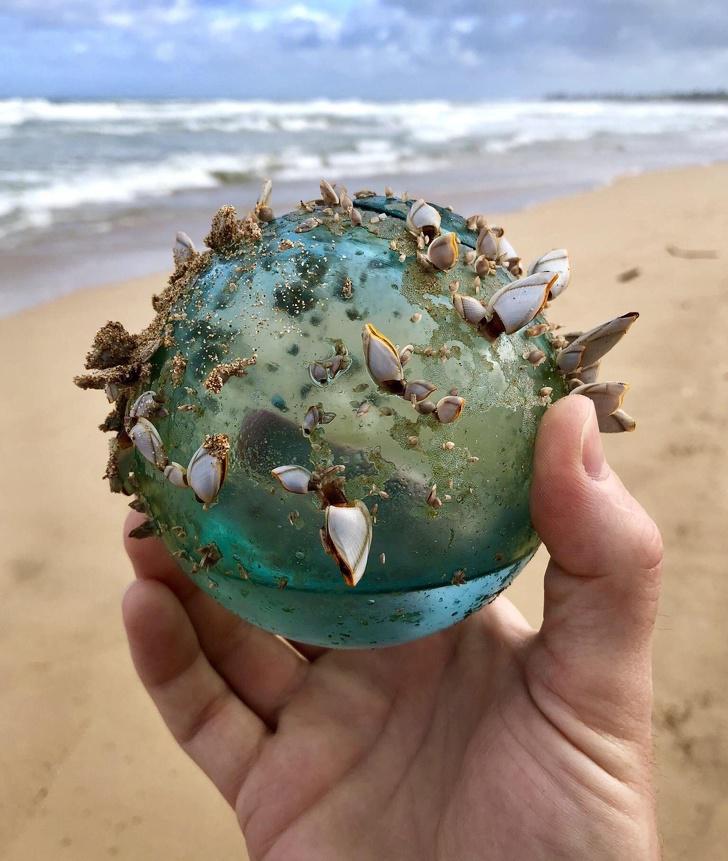 Stikla bumba ar gliemežvākiem Autors: Moltres 16 Savādi atradumi