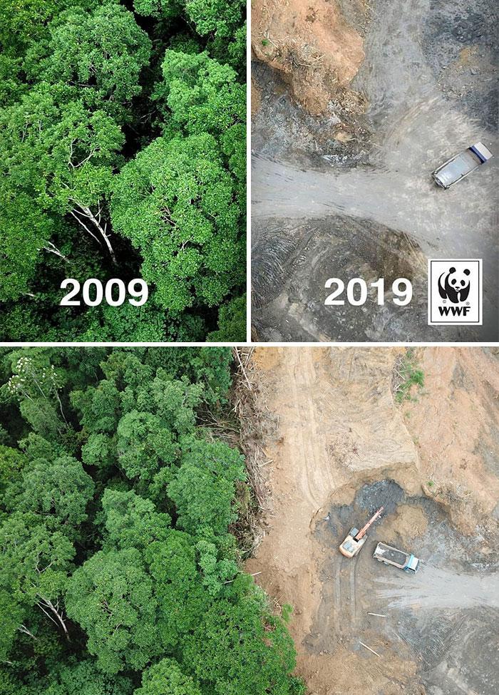 10 gadu izaicinājums pret mežu... Autors: matilde 15 «viltus» fotogrāfijas, kurām visi internetā tic