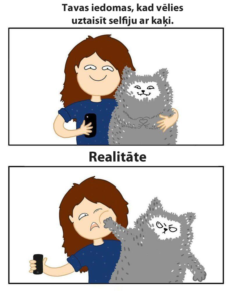 Viņiem neinteresē tavi selfiji Autors: matilde Komiksi, kas atklāj patieso dzīvi, ja mājās ir vismaz 2 kaķi