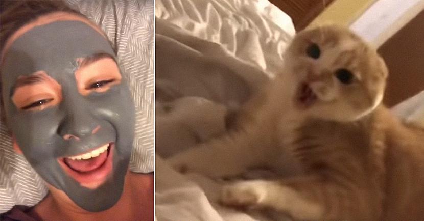 Noskaties video Autors: matilde VIDEO ⟩ Kaķis nobīstas no savas saimnieces, kurai ir uzlikta sejas maska