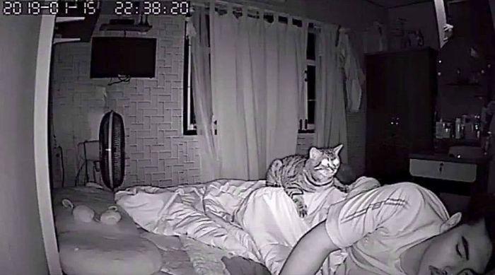 Ja tavs kaķis tev traucē gulēt... Autors: Melnais lemurs Paranormālās aktivitātes apsēsts kaķis!