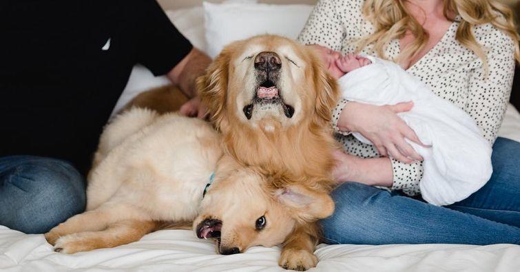  Autors: matilde Aizkustinošs stāsts par suni, kurš zaudēja acis, bet ieguva sev labāko draugu