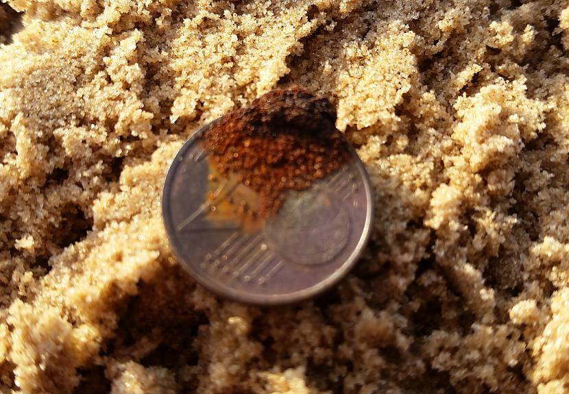 Pirmā monēta  sarūsējuscaroni... Autors: pyrathe Ar metāla detektoru pa pludmali 2019 (marts)