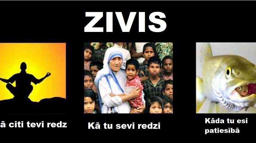 Memes par ZIVĪM