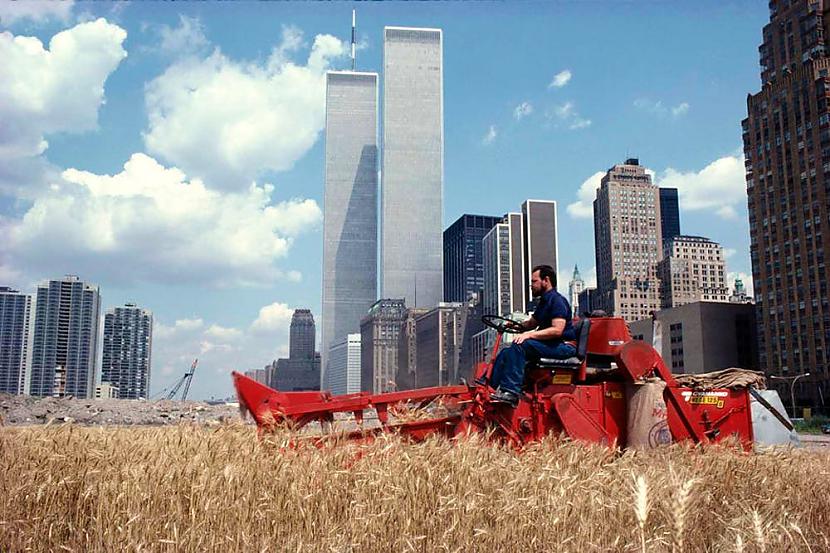 Manhetenas labības lauks 1982... Autors: Lestets Fotogrāfijas, par kurām var nedaudz aizdomāties
