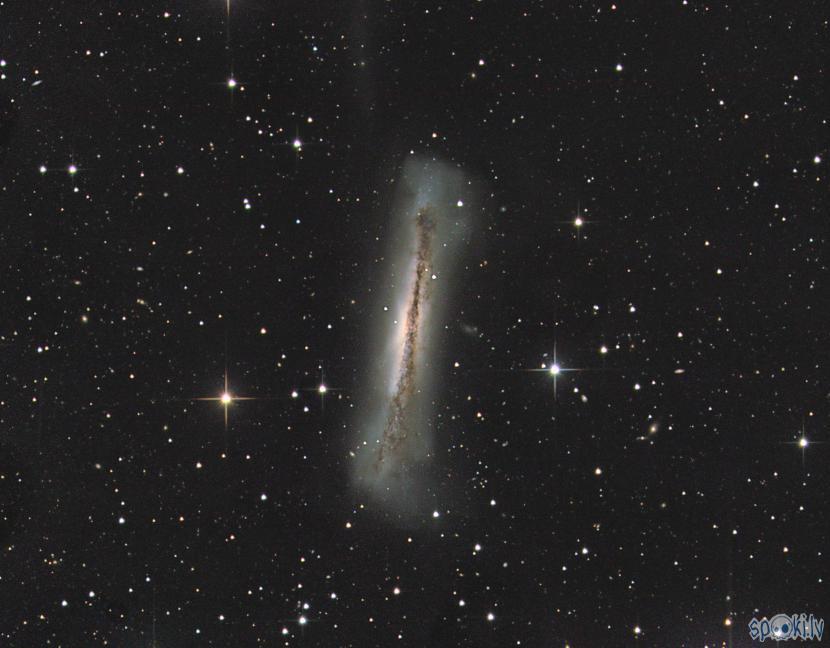 M82 jeb Hamburgera galaktika... Autors: peleks Astrofotogrāfēšana 3.daļa