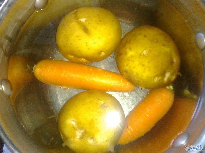 Kartupeļi un burkānēni jau... Autors: ezkins Tuntuļošanās mānija