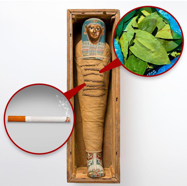 Ēģiptiescaronu mūmiju kokaīns... Autors: Lestets 8 stāsti no sendienām, ko zinātnieki nespēj izskaidrot