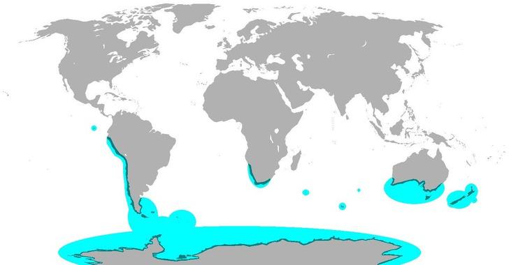 Globālā pingvīnu izplatības... Autors: Lestets 18 paskaidrojošas kartes par mūsdienu pasauli