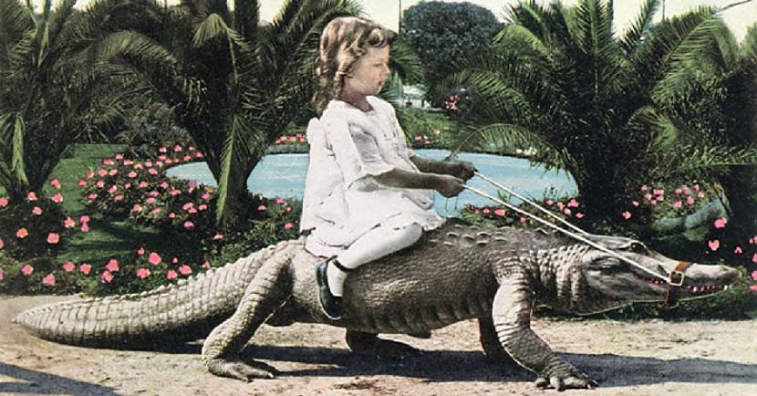  Autors: Lestets Kad bērni spēlējās ar aligatoriem