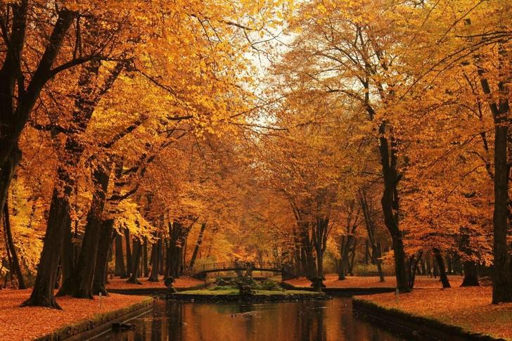 nbspBaireita Vācijanbsp Autors: Lestets Kā izskatās rudens apkārt pasaulei?