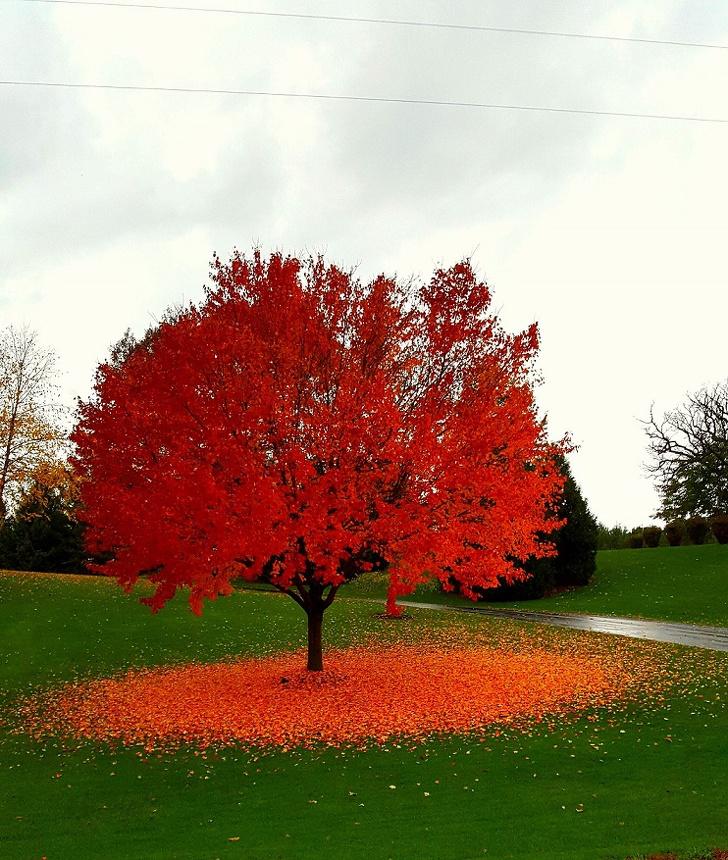 nbspViskonsina ASVnbsp Autors: Lestets Kā izskatās rudens apkārt pasaulei?