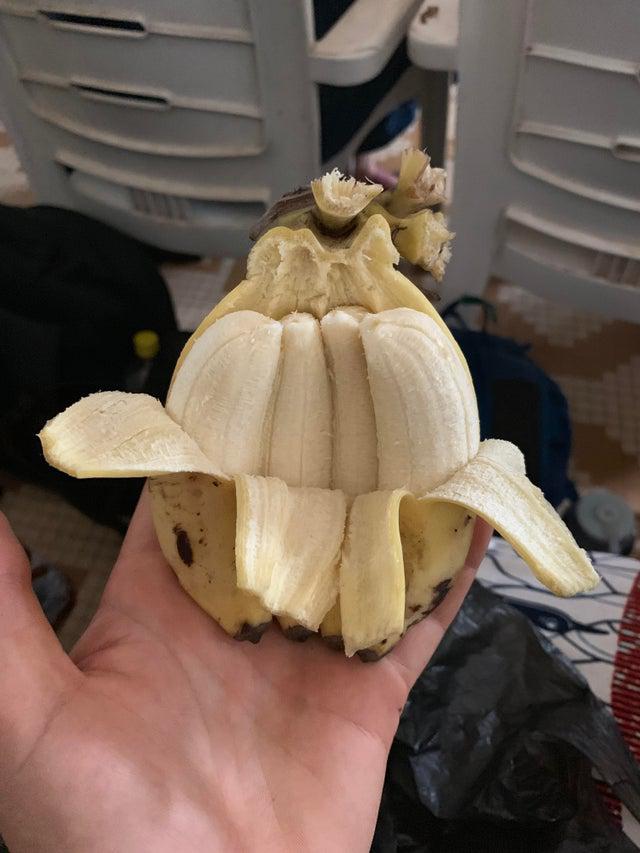 Četrkārscarons banāns Autors: Krixee Fascinējošo bilžu izlase 2