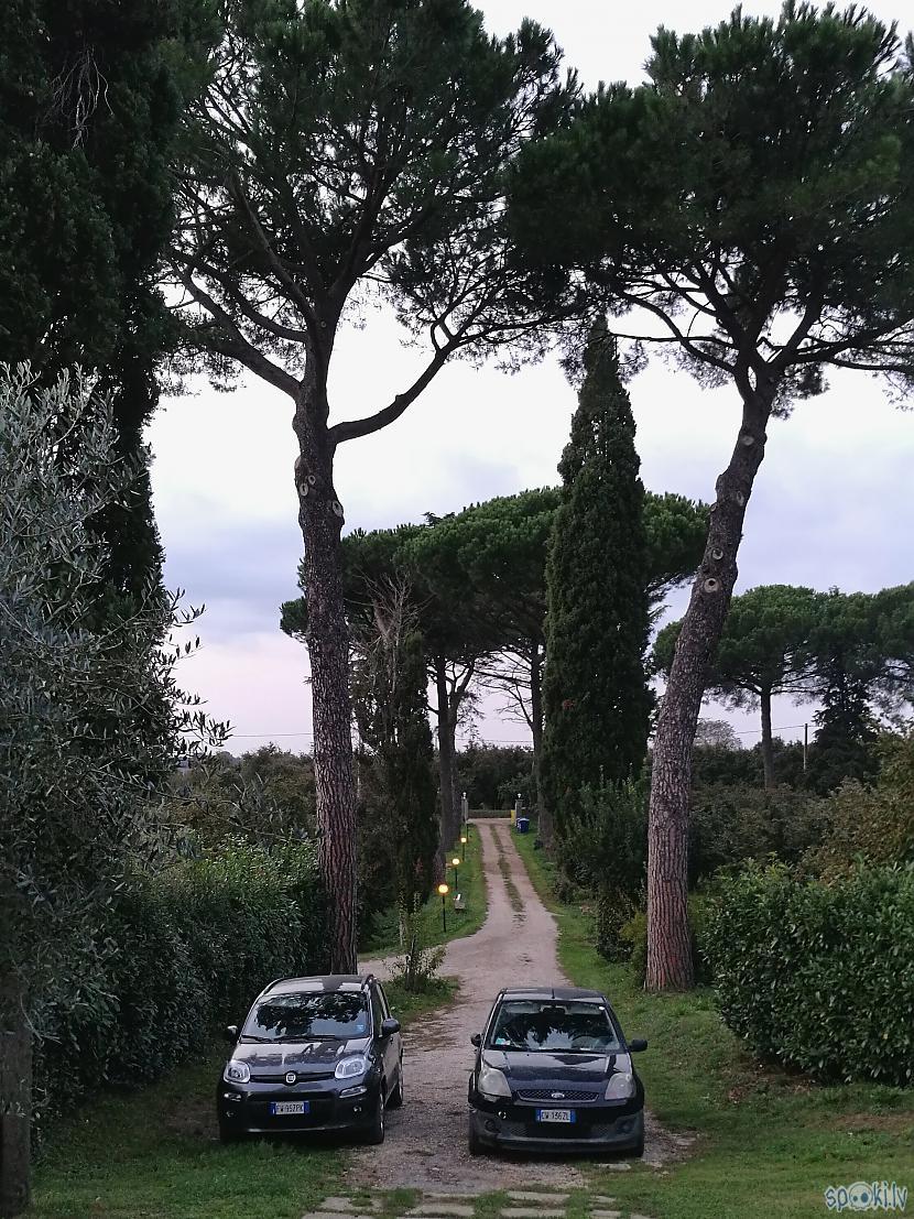 Izložņājuscaroni visas ieliņas... Autors: Fosilija Itālija neplānojot #4: Briesmoņu parks / Bomarzo vecpilsēta / villa