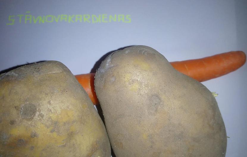  Autors: TheOriginalHigh FS 2 kartupeļi un 1 burkāns (labots)