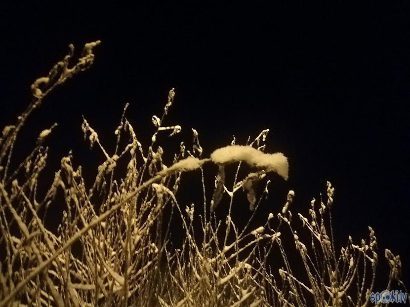  Autors: Latvian Revenger Apkārt tik balts, uzsniga sniegs