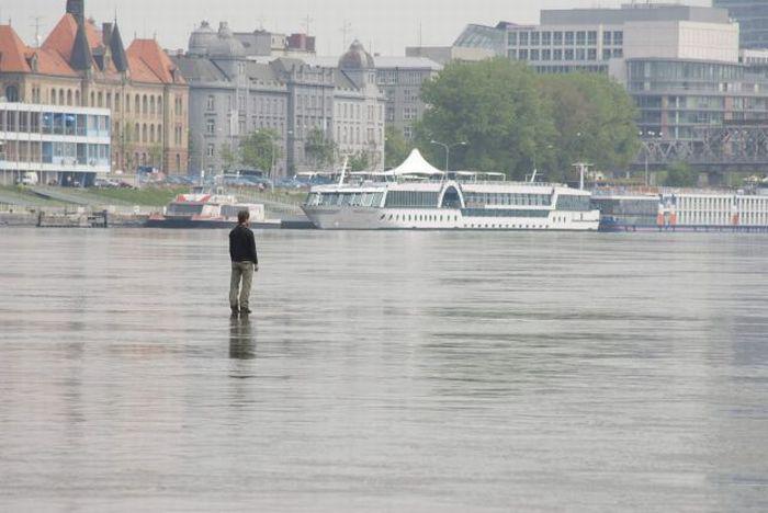  Autors: Fosilija Nu, ļoti dīvaini cilvēki