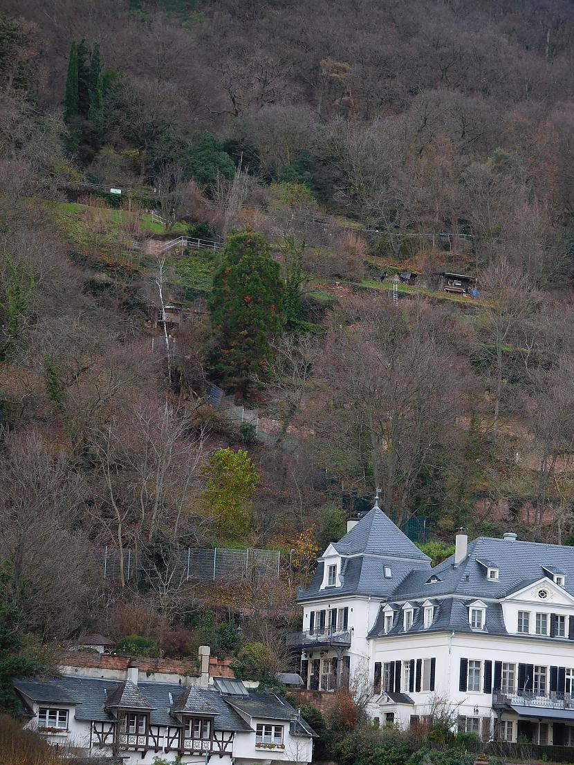 Dārziņi uz terasēm kalna... Autors: turistsr@speles Heidelberga, tā gan nav Frankfurtes piepilsēta...