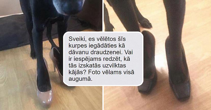 Pēdu fetiscaronisti ir... Autors: matilde Sieviete parāda, kā tiek galā ar vīriešiem, kuri vēlas «nopirkt» viņas kurpes
