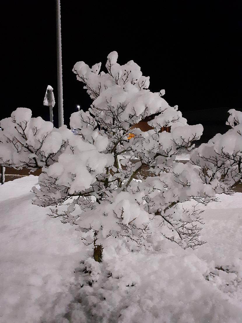  Autors: Drakonvīrs Agrs ziemas rīts - 01:30 Latvijas Pasta pagalmā