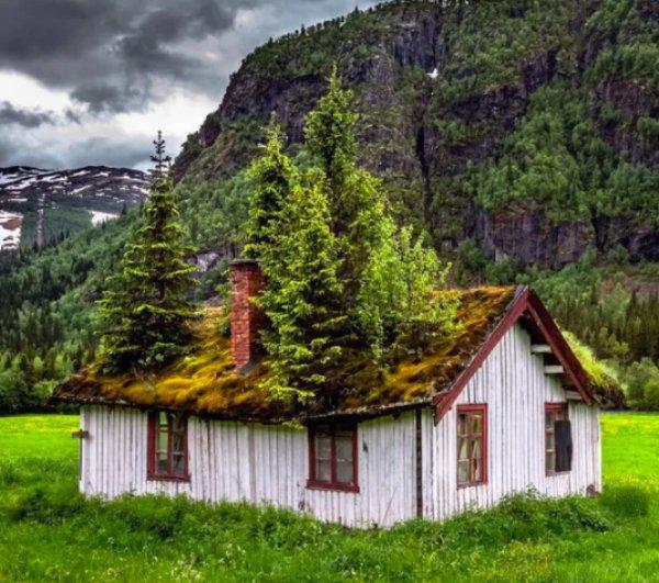  Autors: Fosilija Kad daba uzvarēja cīņā pret civilizāciju... 🌳🌴🍀