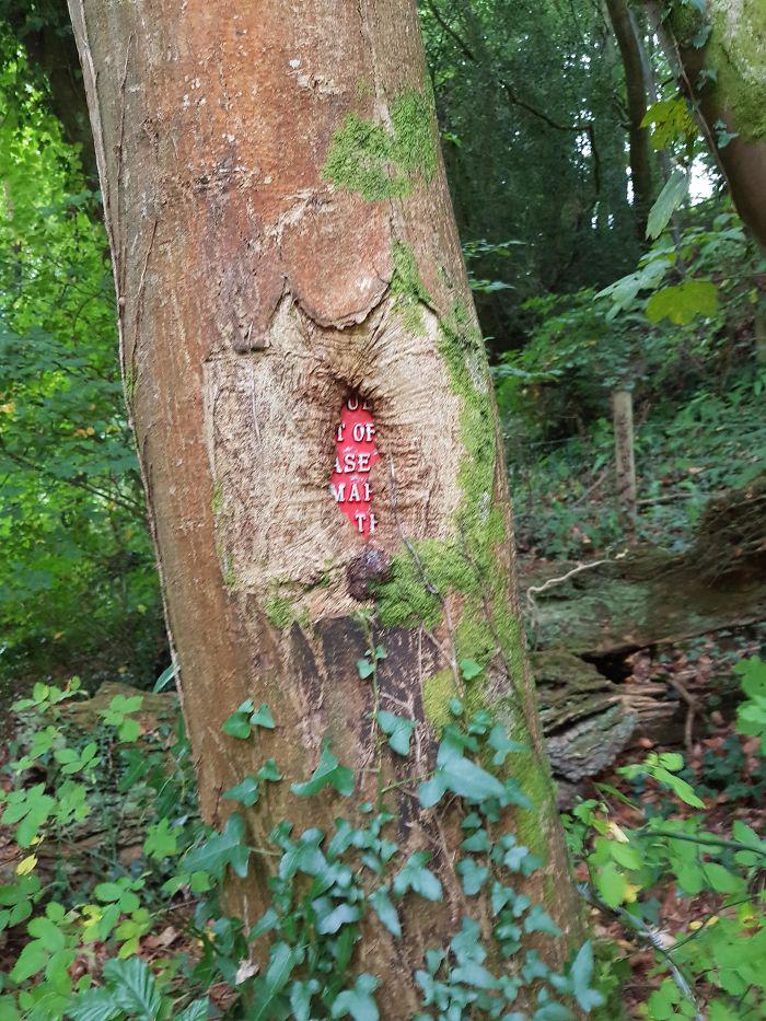  Autors: Fosilija Kad daba uzvarēja cīņā pret civilizāciju... 🌳🌴🍀