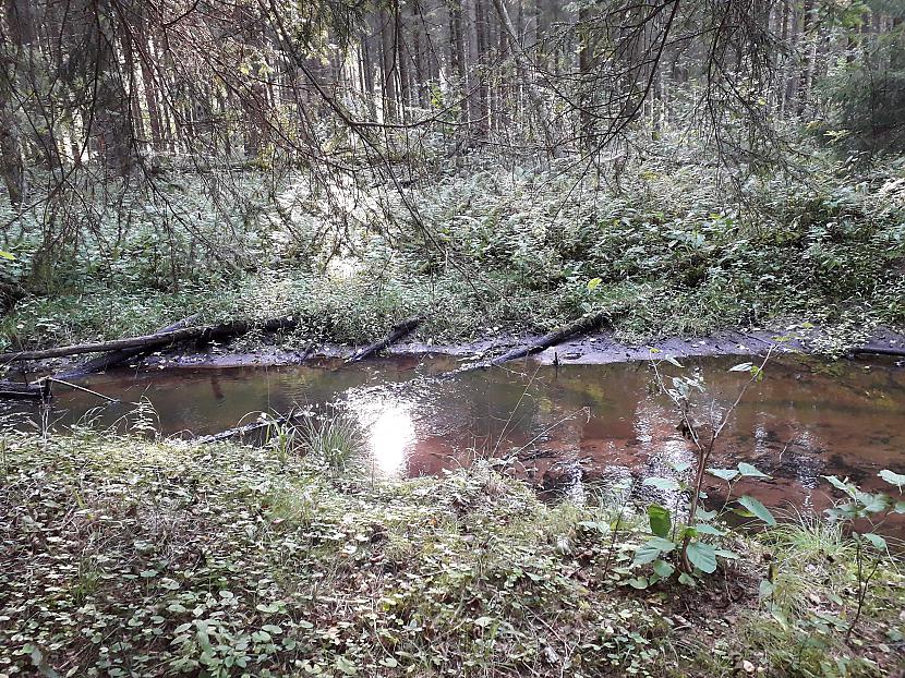  Autors: Griffith Atvaļinājums - 1. septembris, 2019. 2/2