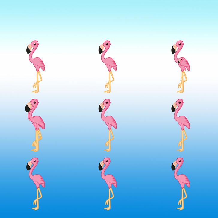 Cik flamingo ir scaronajā... Autors: matilde Tests: Vai vari saskaitīt, cik dzīvnieki ir paslēpušies šajos 15 attēlos?