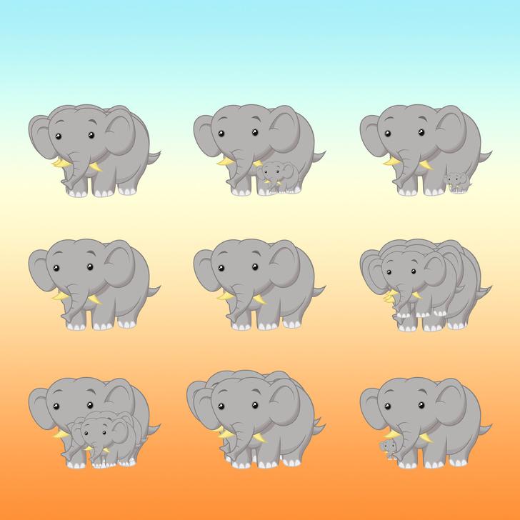 Cik ziloņu ir scaronajā attēlā Autors: matilde Tests: Vai vari saskaitīt, cik dzīvnieki ir paslēpušies šajos 15 attēlos?
