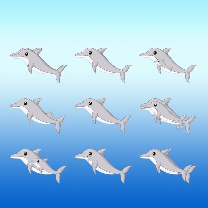 Cik delfīnu ir scaronajā... Autors: matilde Tests: Vai vari saskaitīt, cik dzīvnieki ir paslēpušies šajos 15 attēlos?