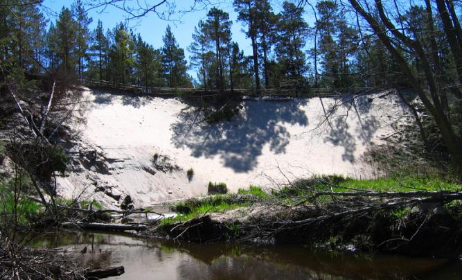 Pūrciema baltās kāpas... Autors: matilde Apceļo Latviju: 8 dabas parki un takas saulaino brīvdienu baudīšanai
